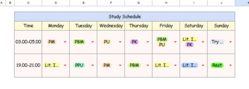 Highlight image for Materi Belajar + Study Log SNBT 2025