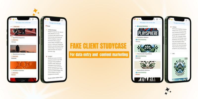 Highlight image 2 for Fake Client Studycase and Database