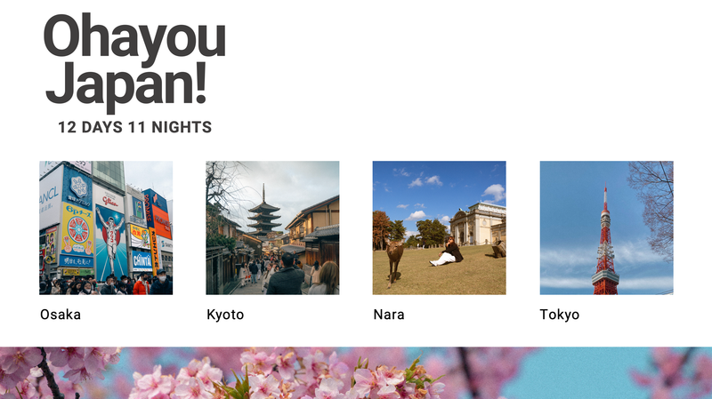 Highlight image for [Japan Itinerary Template] 12 Days 11 Nights | Golden Route