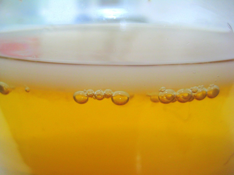 Highlight image for [FREE] Video Cara Membuat Kombucha (Teh Fermentasi)