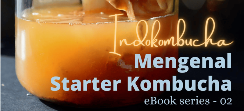 Highlight image 1 for eBook Series 02 - "Mengenal Starter Kombucha"