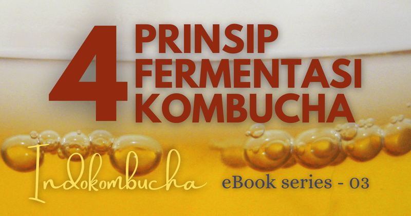 Highlight image for eBook Series 03 - "4 Prinsip Fermentasi Kombucha"