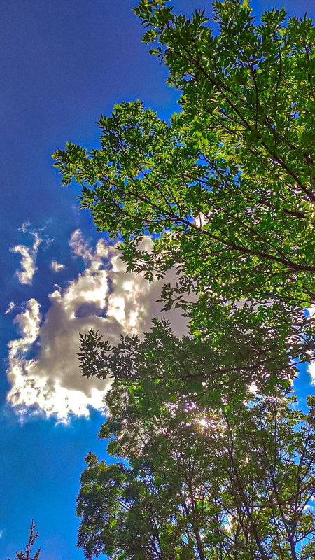 Highlight image for 20+ Preset Lightroom 