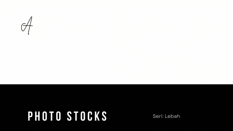 Highlight image 1 for Foto Seri LEBAH - 01