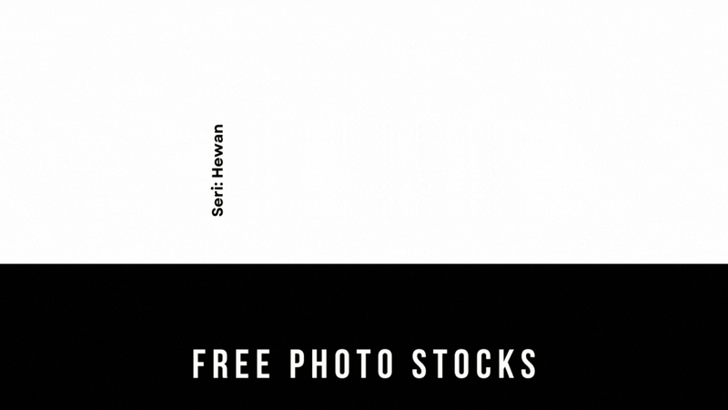 Highlight image 1 for Foto Seri HEWAN - 01