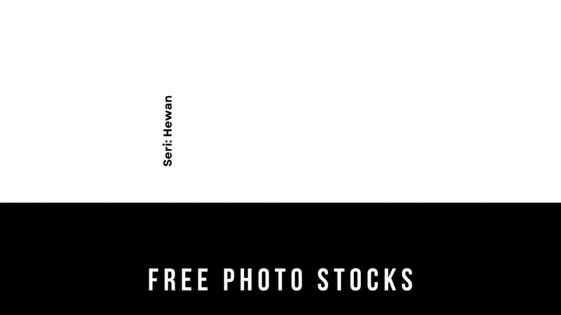 Highlight image 1 for Foto Seri HEWAN - 02