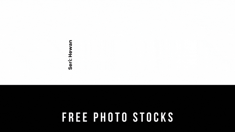 Highlight image 1 for Foto Seri HEWAN - 05