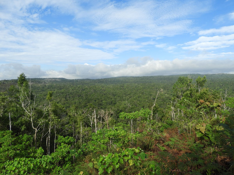 Highlight image 1 for Peleng Ecotourism
