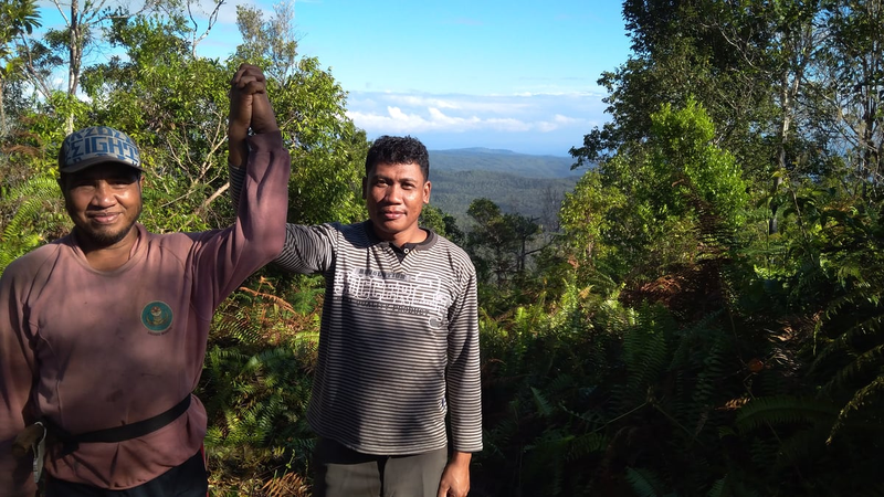 Highlight image for Konsultasi program sustainability gratis