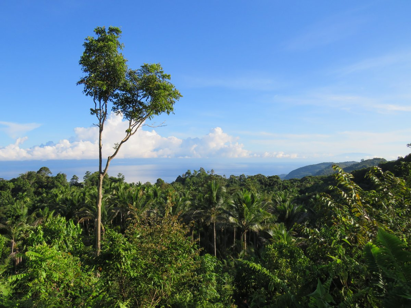 Highlight image 2 for Peleng Ecotourism