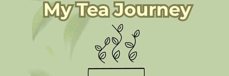 Highlight image for My Tea Journey