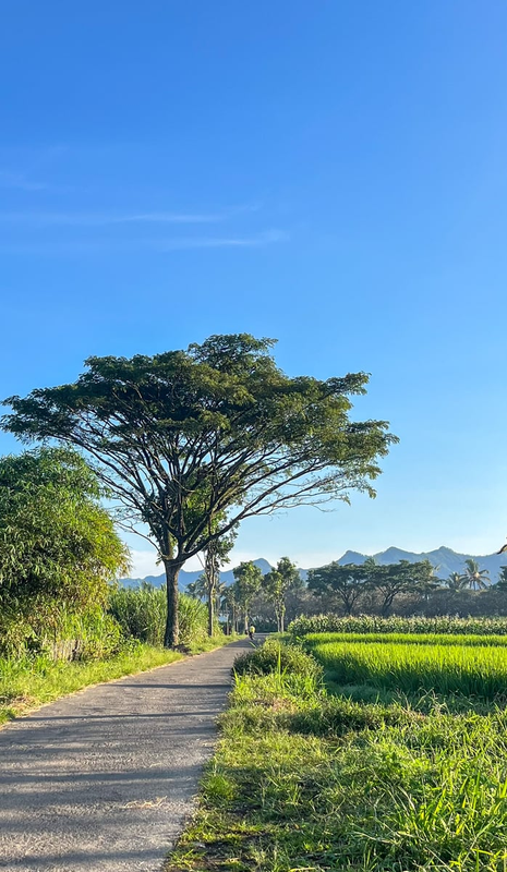 Highlight image for Tips Foto Landscape Hanya Menggunakan Hp Biar Tetap Estetik