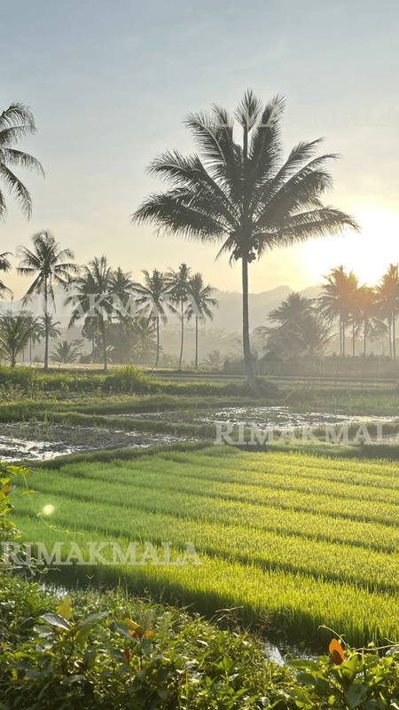Highlight image 1 for Lanscape Photo Pakai HP
