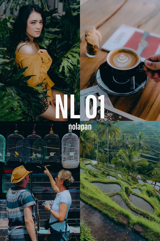 Highlight image 1 for Preset Lightroom - nolapan