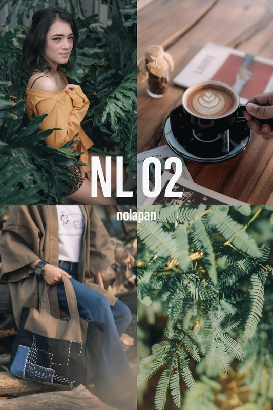 Highlight image 2 for Preset Lightroom - nolapan