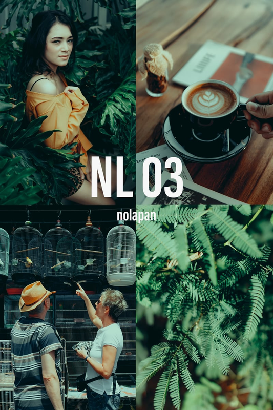 Highlight image 3 for Preset Lightroom - nolapan