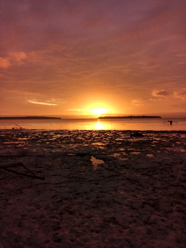 Patria Marani Fatar profile background