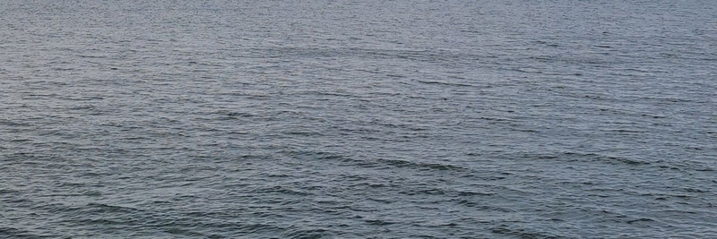 Anggun N. Septyani profile background