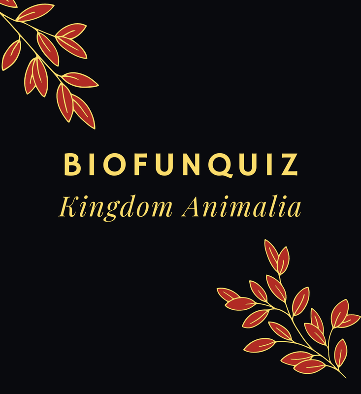 Highlight image for [FREE] BIOFUNQUIZ