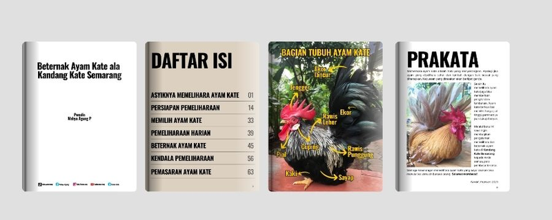 Highlight image 2 for (eBook) Beternak Ayam Kate ala Kandang Kate Semarang