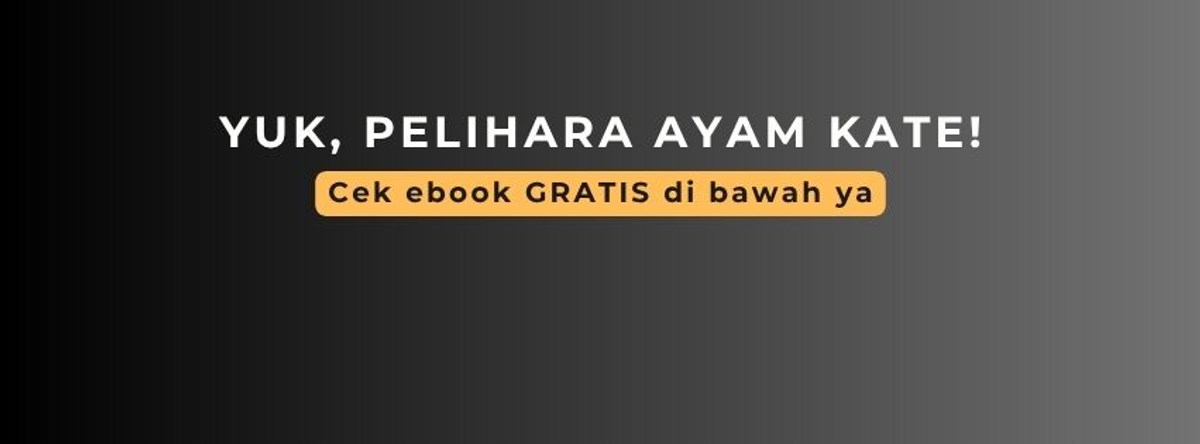 Kate Semarang profile background