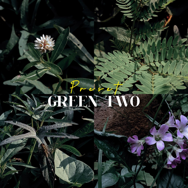 Highlight image for Preset lightroom green tone series