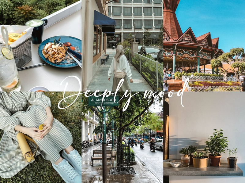 Highlight image for (PREMIUM) 55 PRESET LIGHTROOM