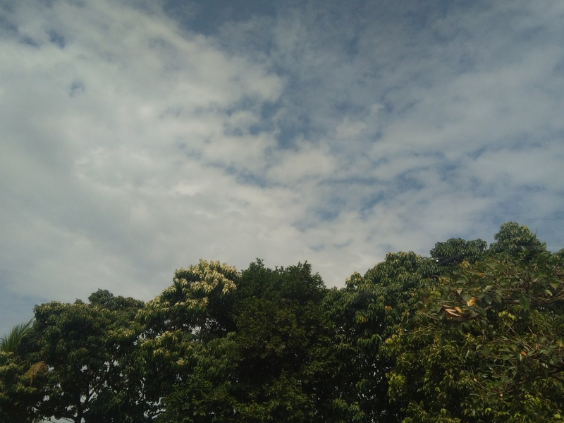 haa profile background