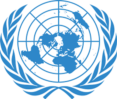 image for MUN For Beginner button