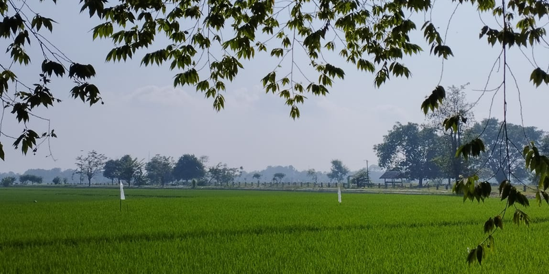 Yusi Suciati profile background