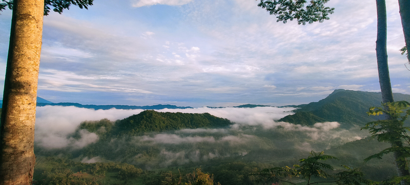 Adi Purnama profile background