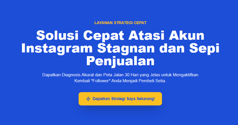 Highlight image for Micro Audit Instagram