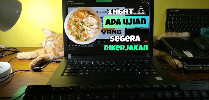 Mbak Wulandari profile background