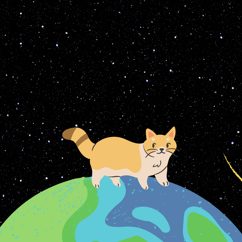 Highlight image for FREE Tutorial Canva Membuat Post Instagram Jadi Stop Motion (by drnuramita)