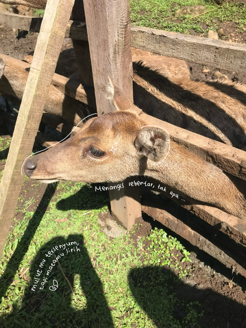 Image 0 for Contoh design feeds karya nads