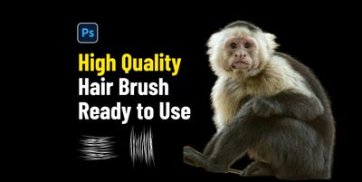 image for High Detailed Hair Brush [Siap Pakai] button