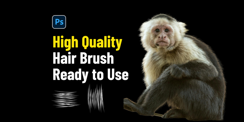 Highlight image for High Detailed Hair Brush [Siap Pakai]