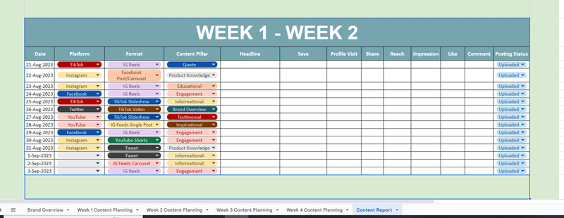Highlight image for Template Brand Plan - Content Plan - Social Media Report