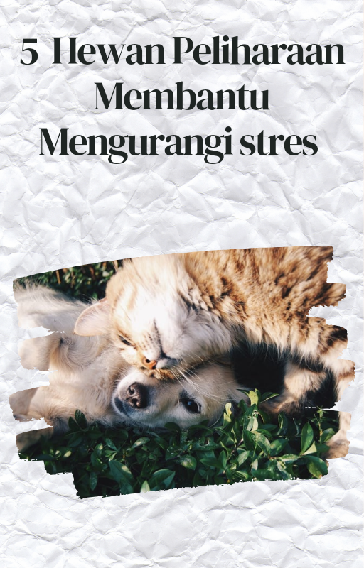 Highlight image for 5 Hewan Peliharaan Membantu Mengurangi Stres