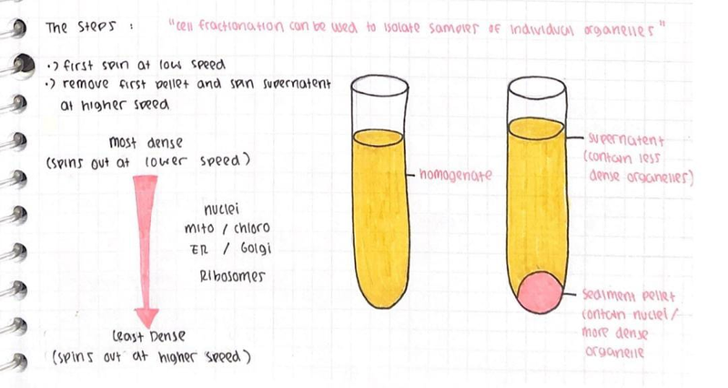 Highlight image for BioKim's Note Free - Belajar biologi dan kimia bareng yuuk