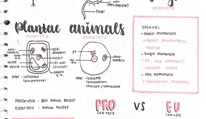 Highlight image for BioKim's Note Free - Belajar biologi dan kimia bareng yuuk