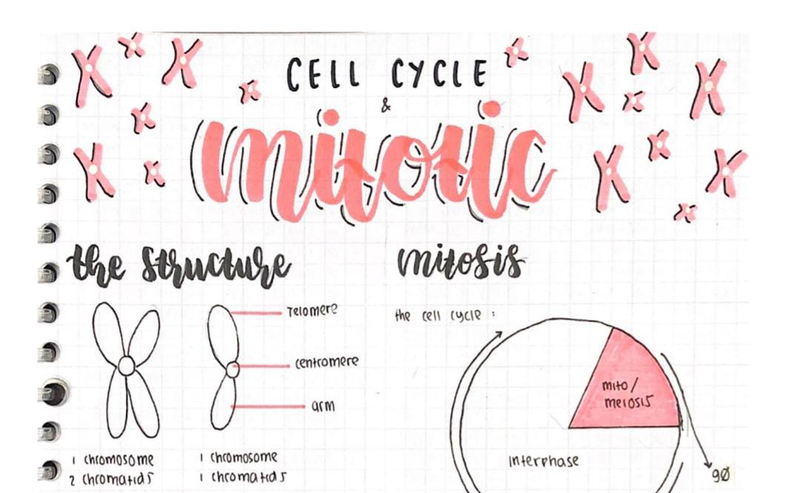 Highlight image for Catatan Biologi Cantik - Biology's Note Bundling Complete [SETARA Rp.1500 PER BAB]