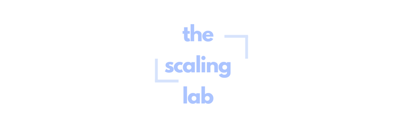 The Scaling Lab profile background