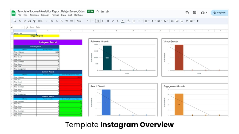 Highlight image 1 for Template Socmed Analytics Report Expert