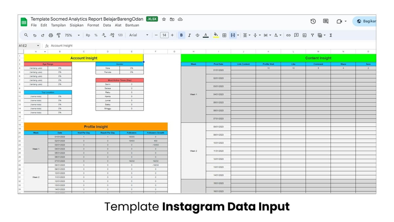 Highlight image 2 for Template Socmed Analytics Report Expert