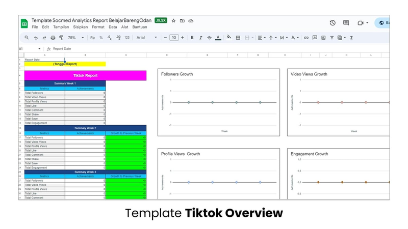 Highlight image 3 for Template Socmed Analytics Report Expert
