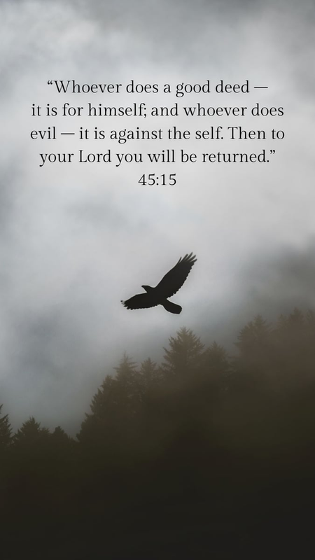 Highlight image 10 for 10 Islamic Quotes Wallpaper HP