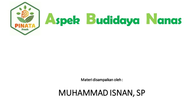 Highlight image for E-Book Budidaya Nanas