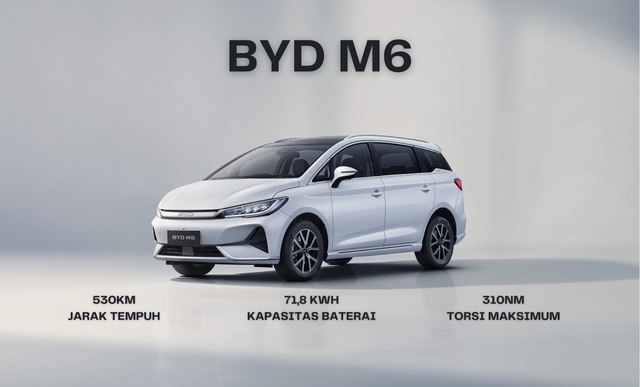Image for BYD M6