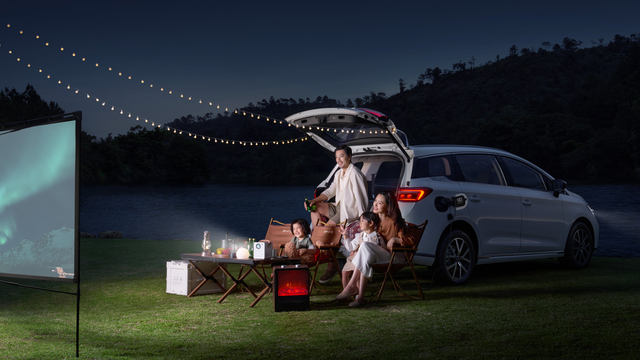 Image for BYD M6